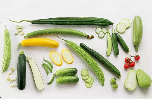 带你吃瓜生物档案,带你探秘“吃瓜生物”的奇妙世界