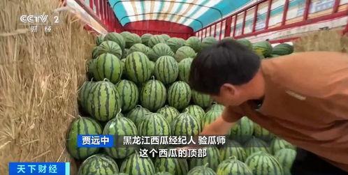 吃瓜行情今天,揭秘今日热点事件背后的真相