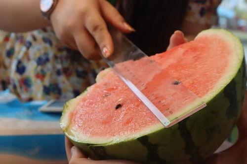 浦东人吃瓜视频