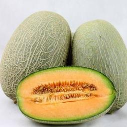 什么季节还有哈密瓜吃
