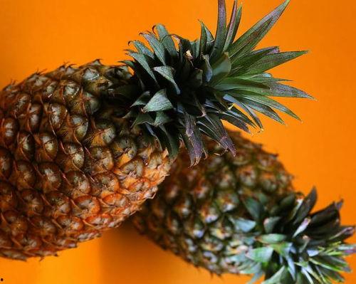 吃瓜菠萝动画,一场欢乐的动画盛宴