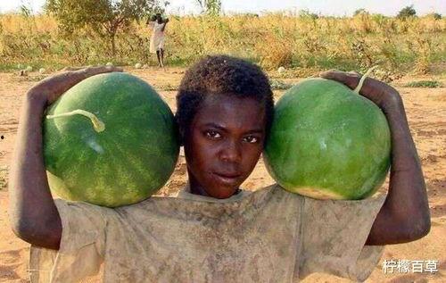 美国吃瓜吗,从“吃瓜群众”到全民热议