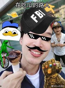 吃瓜路人实录,揭秘娱乐圈幕后真相