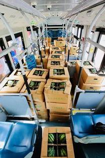 公交车吃瓜,揭秘城市生活百态