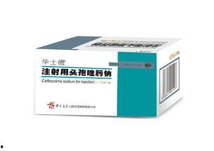 吃头孢可以吃捧瓜,健康饮食的巧妙搭配