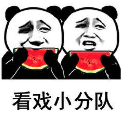 吃瓜表情包 女子