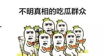 吃瓜群众互动排名,揭秘热门话题背后的热议焦点