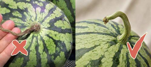 香港跳舞吃瓜视频,跟随潮流节奏，感受街头舞蹈魅力