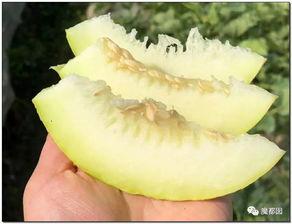 娱婆吃瓜,揭秘娱乐圈那些不为人知的幕后故事