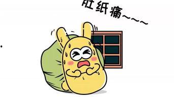 吃瓜群众蚂蚁,揭秘它们的神秘生活