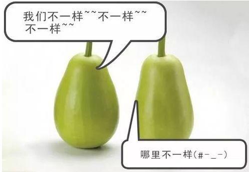 可琦安吃瓜,揭秘娱乐圈幕后真相