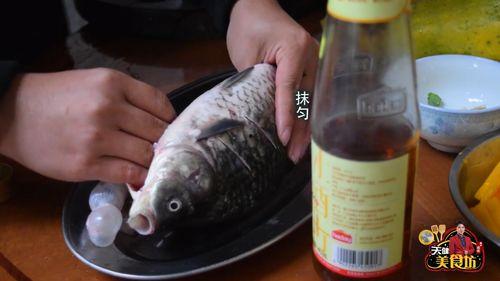 鲫瓜吃小鱼么,揭秘水族间的生存法则