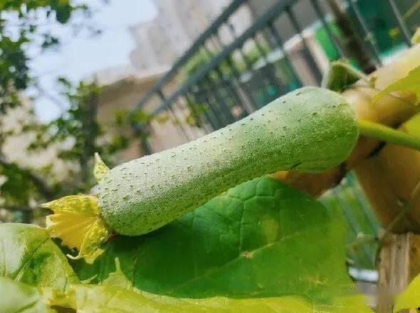 百千万吃瓜,揭秘娱乐圈幕后故事