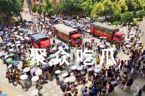 免费吃瓜中转站,揭秘网络娱乐新潮流