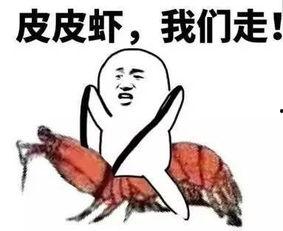 我们坐在吃瓜看着,笑谈人生