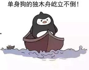 小鱼吃角瓜被调侃,一场趣味盎然的调侃盛宴