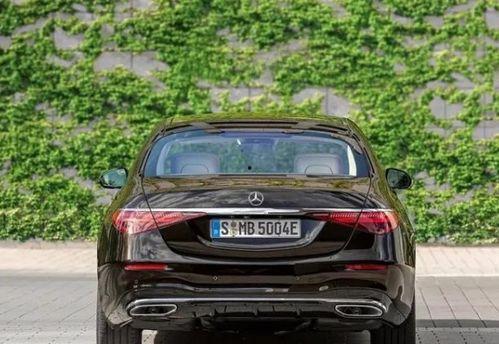 奔驰车吃瓜,一场意外的“瓜田”奇遇