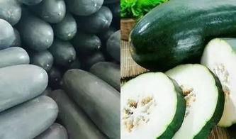 种瓜没瓜吃,揭秘农业生产的必然规律