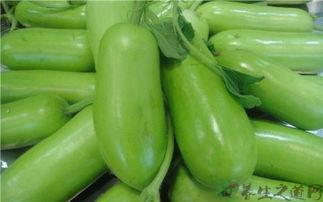 吃蒲瓜有什么功效,天然保健品，健康生活新选择