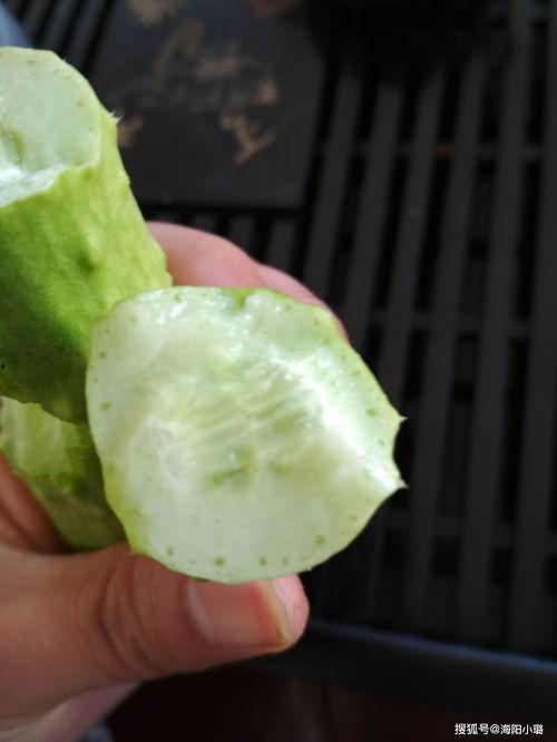 白玉瓜孕妇可以吃吗