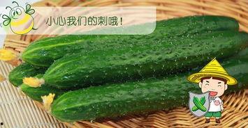 黄色瓜怎么吃,解锁美味新体验