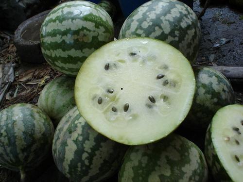 吃瓜的怎么样,揭秘娱乐圈的幕后真相