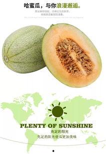 当你吃哈密瓜,一场味蕾的盛宴