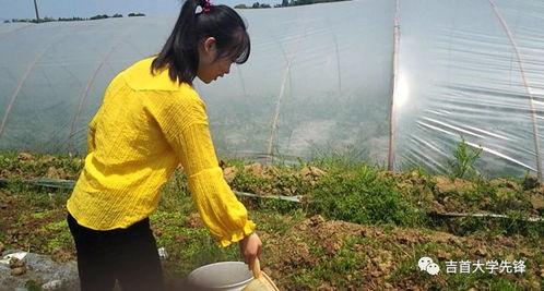 吃瓜不问别离,不问别离，只观风云