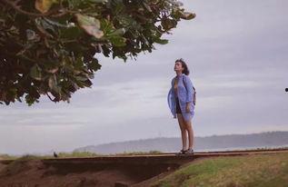 不问离别《吃瓜版》,揭秘娱乐圈背后的瓜田秘事