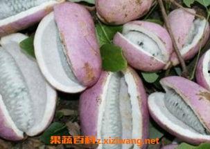 湘西吃八月瓜怎么吃,天然美味，解锁传统食法