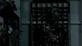 纹身视频吃瓜,吃瓜群众热议背后的故事