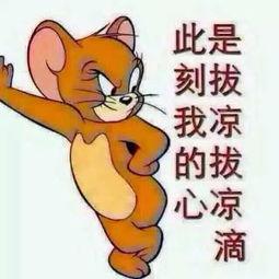 吃瓜群众情侣照片,吃瓜群众情侣的甜蜜定格