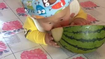 宝宝搞笑吃瓜,萌态十足引网友爆笑