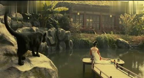 黑猫吃瓜什么电影