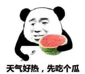 吃瓜砸破头