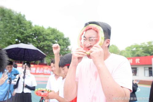 学院吃瓜新闻,吃瓜新闻背后的真相与笑料