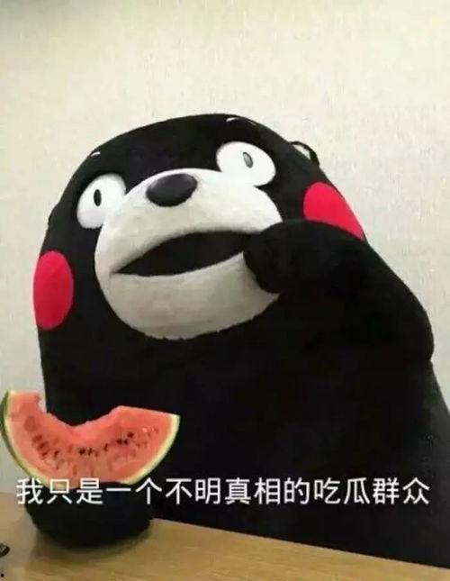 吃瓜表情包图集,趣味横生的网络文化盛宴